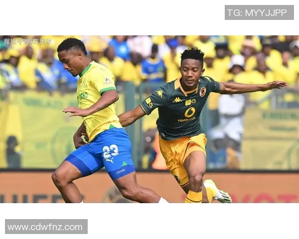 巴西队足球明星的辉煌历程与传奇故事揭秘