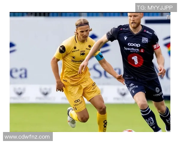 希腊对阵爱沙尼亚足球赛前瞻及推荐分析助你赢得投注